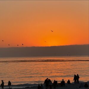 Joana Amaral Dias Instagram - #pacifgrove e toda a zona de #monterey e #carmelbythesea escolhidas como as segundas praias mais bonitas da #california 🌅, pelo Diniz e pela Luz. Daqui a pouco já revelamos as primeiras ☺️
