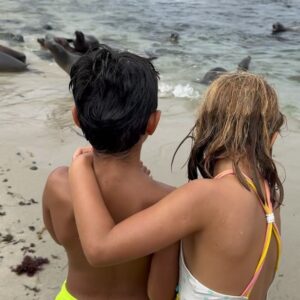 Joana Amaral Dias Instagram - A foca a nadar com as focas 🦭🤣
Estar no mar e na praia com estas grandes nadadoras foi eleita experiência número 1 🥇pelos meus filhos mais novos, nesta nossa grande viagem à #california.