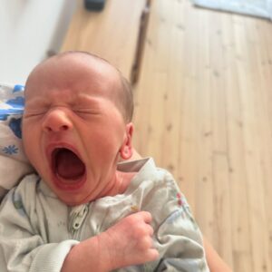 Johanna Puhakka Instagram - previously on 🫧👶🏼👶🏼🫧

1. Vaunulenkit all day everyday! 
Meidän vaunut on Bugaboon donkey twinit! Näitä on näppärä työntää ja irrotella osia et mahdutaan hissiin 🥰 vaunut yhteistyössä @wauvakauppa @bugaboo.nordics 🤎

2. Iltauinti vibes 
3. Bebes on cloud 9 after @pinjawaris osteopaattinen hieronta
4. Auringonkukkia asuntonäyttöä varten 🌻🌻🌻
5. Fam from Korso & Argentina 🇦🇷❤️
6. ISO haukotus😂
7. luksushetki, näinkin isosti panostettu aamiainen! 
8. Sukkapuoli
9. Ihanat naiset visiitillä ❤️
10. Väsyneitä ukkeleita
11. Muikeena koska vihdoin RIPSIHUOLTO AHHH
12. Neuvolaan hip heii!! Samat vaunut mut kun 1. kuvassa mut adapterin kaa saa kätevästi kiinni noi Cybexin turvakaukalot, mahduttiin neuvolan hissiin (nippa nappa tho😅👋🏼) 
13. Uninen esikoinen ja ihanat värit 🧡💜🧡💜
