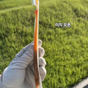 Kim Ji-hye Instagram - 다이어트 도시락
.
혜이 입시
.
10월말 자유
.
끝이 있어 다행
.
하루하루 열심히 사는 여자
.
오늘도 화이팅
.
BBQ오징어 스틱~~공구합니다
.