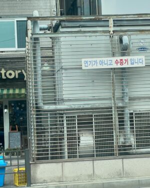 Lee Jin-ha Instagram - 이사를 했다. 걱정이 앞섰던 혼자삶이었는데 웬걸. 바선생 능가하는 적응력. 내가 가진지도? 너무 좋다.
무튼 이제 좀 집도 좀 집같아지고 살만하여 내 루틴을 정립하는 중.
정신없는 와중에 촬영 일을 제외한 자투리 일상들 기록 겸 공유-

내 주간의 공간에 추가된 블루스와 술루스 (술루스는 아직 체력에 부친다)
내 입에 딱 맞는 길냥이 식단(꽤 프리미엄)
혹냥🐈께서는 건재하면 그루밍 부터 한다지. 나는 유튜브 노래방을 해.
염분 가득 빵빵이 얼굴
미소 췤 ✅
코파는 거 아니고. 연기가 아닙니다. 오해는 싫어잉
감자지옥에서 탈출한 건에 대하여