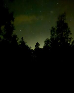 Lisa Nilsson Instagram - Denna natt bjöd himlen på mästerliga naturtillstånd! 
Får inte nog. Norrsken mitt i vår skärgårdskväll! Lägereld och samtal vid världens ände - med hela stjärnhimlen som fond. 
Ena bror introducerade mig för en ny app för stjärnhimlen som troligen kommer att hålla mig sömnlös resten av livet. Jag fångade somliga vyer på min ensliga promenad hem till mitt.. 
Efter en stund på berget med astronomi och mörkerläggning gick det upp för mig vad allting var - så som min astronomikunnige styvfar en gång i tiden försökte uppmärksamma mig på.. småningom bröt jag ut i gråt på ett sätt som inte går att förklara med annat än att jag helt sonika kom FÖR NÄRA.. alltet, den gudomliga ekvationen osv.
Man blir så väldigt tyst, när väl insikten fäster på om vilka stjärnor de individuella prickarna är.. när man via en iPhone-app står öga mot öga med Mars, Saturnus, Merkurius.. osv. 
Svindlande på ett ”bortom begriplighet-vis” 
Lika ljuvligt varje gång. 
Hur mycket sinnena än hisnar..!

(Appen heter Sky Guide)