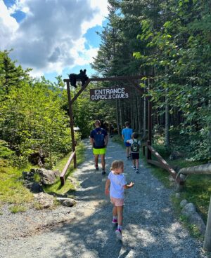 Lucie Šafářová Instagram - White Mountain & Acadia National Park! 🌲🌸
Další dvě destinace za námi! Musím říct, že prostornost a vybavenost kempů je super! Není přeplněno a člověk má i soukromí. Moc se nám líbí KOA, ale Wild Acadia resort měl i aquapark, skákací trampolíny a hodně atrakcí pro děti! Tak teď hurá do Kanady! 
Jeskyně Lost River Gorge ✅ Polar caver✅ Adrenaline lanový park✅ Jízda hasičským vozem✅Bazén✅ Clarks Bears park✅ jízda zážitkovýn vlakem✅ Legoland✅ Boston✅Sand Beach Acadia✅ na kole okolo Eagle lake ✅ Thunder Hole✅ Cadillac mountain top ✅ Lobster roll✅ Bar Harbour city✅ Aquapark✅ Trapolíny✅ giant Jenga game✅ špekáčky a marshmallow na ohni✅ 
#adventure #usa #natureroadtrip #rvlife #kemping 

@tomasplekanec