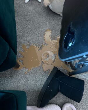Lucy Hale Instagram - the saga of the spills continues…