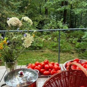 Małgorzata Pieczyńska Instagram - Otwarcie słoika z własnej roboty pomidorami to cudowny luksus🍅❤️🍅 ten przepis na dodatek zakłada, że macie gotową, doprawioną zupę lub sos. 😜👍Oczywiście można dodawać do gotowych zup lub sosów świeże przyprawy, np. bazylię lub tradycyjnie po polsku koperek. Zupa ta może być wegańska, ale też można łączyć ją z rosołem. Jeśli macie zimne piwnice, to oczywiście nie musicie pasteryzować wystarczy gorące słoiki obrócić do góry nogami do wystygnięcia pod przykryciem. Jednak u mnie i u taty w mieszkaniu jest za ciepło. Boję się żeby moja praca nie poszła na marne, więc pasteryzuję👍🍀🍅🍀 wtedy przechowuję cudowne przetwory nawet kilka lat😜❤️spróbujcie, koniecznie Z tą oliwą ,ostrą papryką ,czosnkiem i solą! To jest naprawdę fantastyczne ❤️👍🍅❤️

#slowlife #domoweprzetwory #pomidory🍅 #przecierpomidorowy #zdroweprzepisy #zapasynazimę