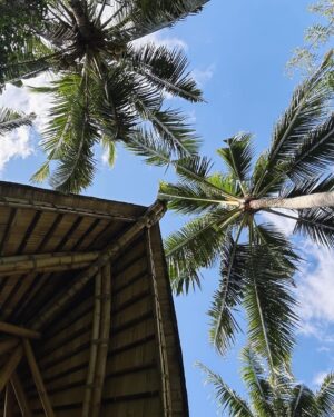 Maxime Teissier Instagram - hi from bali 👋🏻 in jungle 🌴