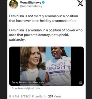 Mona Eltahawy Instagram - Genocide aided, armed, and abetted by the U.S will not be less worse if the U.S. gets its first Black woman president. 

Genocide is not any less worse if it continues under the watch of a vice president who is a positive role model for masculinity.

i wrote that essay before the DNC.

Israel’s genocide of Palestinians in Gaza will be no less worse under the watch of an historic Harris-Walz administration.

Feminism is not merely a woman in a position that has never been held by a woman before. 

Feminism is a woman in a position of power who uses that power to destroy, not uphold, patriarchy.

And what is genocide but patriarchy writ large; toxic masculinity drunk on its power and ability to dominate, to obliterate, to kill, maim, and terrorise women, children, and men.

https://www.feministgiant.com/p/essay-feminism-vs-genocide