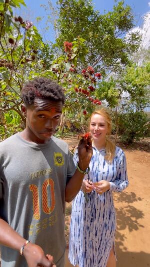 Nazanin Amiri Instagram - Welcome to Zanzibar,this plant is Bixa orellana, also known as achiote, is a shrub native to Central America.Bixa orellana is grown in many countries worldwide.The tree is best known as the source of annatto, a natural orange-red condiment (also called achiote or bijol) obtained from the waxy arils that cover its seeds.The ground seeds are widely used in traditional dishes in Central and South America, Mexico, and the Caribbean, such as cochinita pibil, chicken in achiote, caldo de olla, and nacatamal. Annatto and its extracts are also used as an industrial food coloring to add yellow or orange color to many products such as butter, cheese, margarine, ice creams, meats, and condiments.Some of the indigenous peoples of North, Central, and South American originally used the seeds to make red body paint and lipstick, as well as a spice.For this reason, the Bixa orellana is sometimes called the lipstick tree.tag someone who likes Africa 🙋‍♀️🥂

#travelgram #cosmetics #blogger #travelblogger #trip