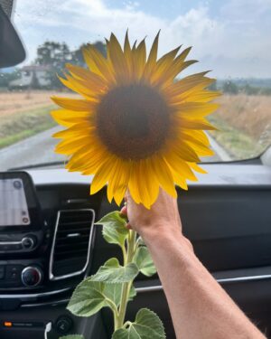 Nicoletta Romanoff Instagram - È stata un’estate crudele. Ringrazio Dio per averla potuta passare in questi posti meravigliosi, contornata dall’amore della mia famiglia e dei miei amici più cari. Benvenuto settembre, testa alta e schiena dritta. A piccoli passi portami sempre avanti. ♥️