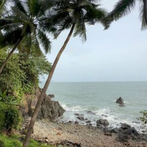 Nikkesha Rangwala Instagram - Sun, sea n sand 
 

Photography @azaincoutinho 
 Location courtesy @caravelabeachresort 

#goadiaries #travelgram #sunseasand #mindsetreset