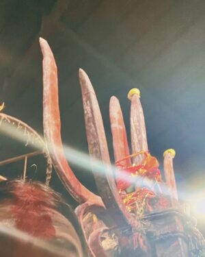 Pavitra Punia Instagram - 💫🌹🐅 श्री