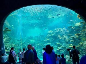 Pramila Jayapal Instagram - Today, the Seattle Aquarium’s new Ocean Pavilion officially opened. It’s an incredible project that I was proud to secure $750,000 for, and I’m so excited that the public can now experience it.

This is a beautiful new building that will transform our city’s waterfront, expand the aquarium and its attendance, and allow them to continue their amazing marine conservation and sustainability work!