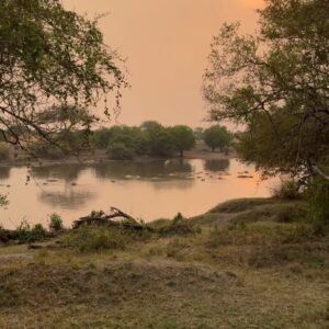 Race Wong Instagram - GRUMETI GOLDEN HOUR 🌅🧡✨

As the sun dips below the horizon in the Grumeti region of the Serengeti, it bathes the sky in vibrant reds and oranges, creating a breathtaking scene over the vast savannah. The warm glow spreads over acacia trees and grasslands, crafting a serene moment in the African wilderness. Nature’s symphony, wildlife silhouettes, and the changing sky colors blend to form a truly mesmerizing Grumeti sunset experience. This isn’t just about visual beauty; it’s about finding tranquility and a profound connection to nature, offering a time for reflection and the creation of enduring memories in one of Africa’s most iconic landscapes 🌅🌞🧡

Wildlife tour guides & Photo credits 
@capewildlifesafari @ianjohnsonwild 

#africa #tanzania #grumeti #sunset #serengeti #summer #summerholidays #rosannewong #drderekbaram