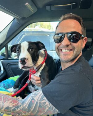 Rena Sofer Instagram - What do you do when you can’t #foster or #adopt ?? You provide #transport for a #rescue in need to get a dog OUT of the #shelter and INTO a rescue so another life will be saved. Just 3 hours out of our day saved this beautiful boy Sylvester!! He was so terrified at first. He’s just a baby. But he started wagging his tail once he got on @sbookstaver lap (just like I do 🥰) and he felt safe! He’s at a new Foster through @lisachiarelli and is available for #adoption He’s a beautiful boy with his whole life ahead of him!!! #duber #fosteringsaveslives #adoptdontshop