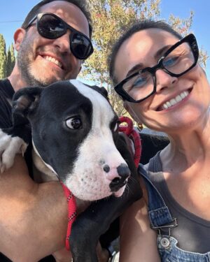 Rena Sofer Instagram - What do you do when you can’t #foster or #adopt ?? You provide #transport for a #rescue in need to get a dog OUT of the #shelter and INTO a rescue so another life will be saved. Just 3 hours out of our day saved this beautiful boy Sylvester!! He was so terrified at first. He’s just a baby. But he started wagging his tail once he got on @sbookstaver lap (just like I do 🥰) and he felt safe! He’s at a new Foster through @lisachiarelli and is available for #adoption He’s a beautiful boy with his whole life ahead of him!!! #duber #fosteringsaveslives #adoptdontshop