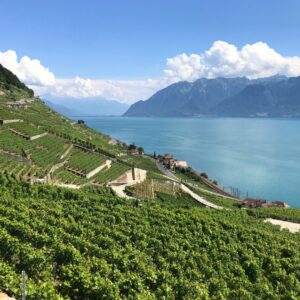 Samantha Brown Instagram - ICYMI we revisited the stunning Lake Geneva on Youtube this week! Now I’ve got a whole post to help you plan your future trip. Just tap my username @samanthabrowntravels and click the link in bio to read.

If you’ve been, let me know about your trip in the comments.

#samanthabrown #placestolove  #lakegeneva #switzerland @myswitzerland