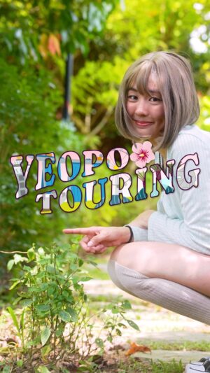 Samantha Tan Instagram - Annyeong Yoroboons, today we are Yeopo Touring Bukit Gombak! 💖⛰️🦟

응, 나 머리 새로 잘랐어. 나는 이제 연예인이기 때문에 내 헤어스타일은 항상 바뀌어요. 판단하면 서운할 것 같아요. 그러니까 내 머리 얘기는 하지 마! 사랑해요! 🤗

⭐ Where shall we go next? ✨

Also watch: Yeopo Touring Tuas! 🥰

#yeoposamgyeopsal #bukitgombak #singapore