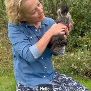 Sarah Beeny Instagram - Introducing Edith, Blake, Michael and Colin - a few new feathered members of the family! 🐣🐥🐓xxx