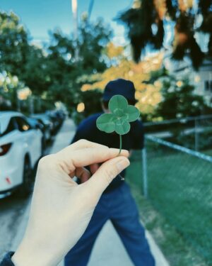 Sarah Gadon Instagram - Lucky summer 🍀☀️