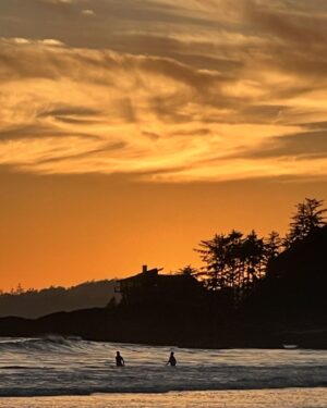 Sarah McLachlan Instagram - Life at the moment.. surf, dogs, and sunsets. Feeling very lucky❤️ XoS