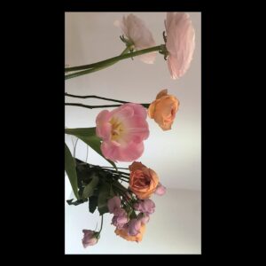 Shin Se-hwi Instagram - 평창동 명란젓 포커