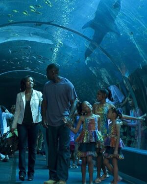 Sierra McClain Instagram - we recreated the Daddy’s Little Girls aquarium photos with our own Daddy @mikejmcclain ! we hadn’t been to this aquarium since we filmed those scenes, over 17 years ago. 🥺🥰 what a memorable day 💫 photo creds: @shontellmcclain