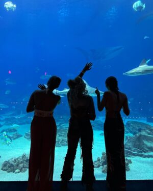 Sierra McClain Instagram - we recreated the Daddy’s Little Girls aquarium photos with our own Daddy @mikejmcclain ! we hadn’t been to this aquarium since we filmed those scenes, over 17 years ago. 🥺🥰 what a memorable day 💫 photo creds: @shontellmcclain