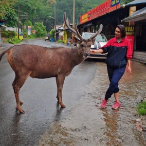 Sindhu Lokanath Instagram - Just stopped by to say, Hello.. How ya doing????