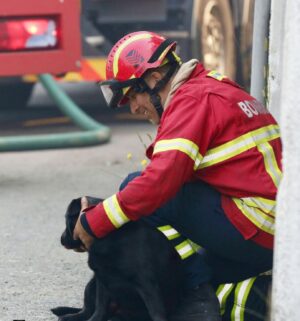 Sofia Grillo Instagram - .
HERÓIS! 
A coragem que nos salva em silêncio. 
.
Que os bombeiros sejam lembrados sempre, não apenas quando o fogo chama. 
.
.
📸 via @jornalexpresso Diogo Baptista 
.
#bombeiros 
#bombeirosportugueses 
#herois
#incêndios 
#incêndiosflorestais