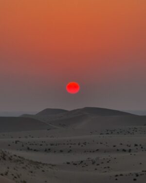 Sofía Suescun Instagram - Increíble experiencia en el desierto @desertrosetourism 
He visto muchos atardeceres pero este en concreto me lo llevo por siempre en la retina de mis ojos🏜️🐪
Gracias @visitabudhabi por enseñarnos Abu Dhabi, nos vemos pronto 🇦🇪 #InAbuDhabi PUBLI