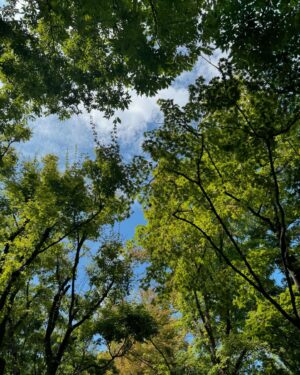 Son Yeon-jae Instagram - 가을인줄알고 나왔는데……. 🤷‍♀️☀️