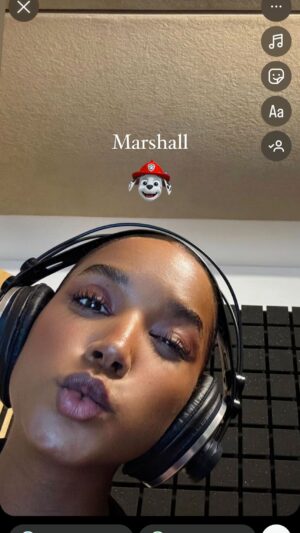 Soraia Tavares Instagram - Entre as mil coisas que faço, tem que haver sempre tempo para as gargalhadas do Marshall 🥰 
#dobragens #patrulhapata #Marshall