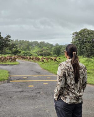 Sri Sudha Bhimireddy Instagram - Being in wild is always a wild decision .....