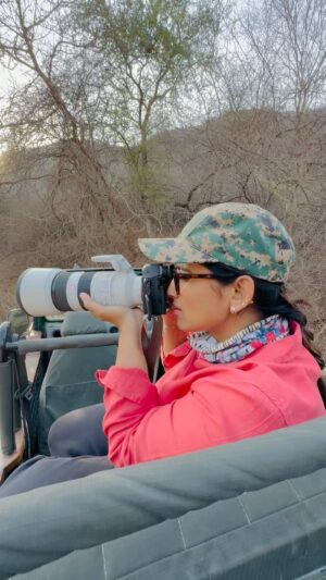 Sri Sudha Bhimireddy Instagram - Majestic leopard from #jhalana #jhalanaleopardreserve  this male leopard was such a a huge one I never seen in Indian national parks…… usually leopards are very shy and stay away from human kingdom…… but this jhalana leopard reserve is situated closer to #jaipur city…