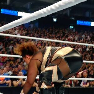 Stephanie Bell Instagram - Last week’s Street Fight for the WWE Women’s Title on Berlin was absolute CHAOS! 👊🔥