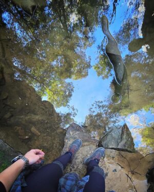 Stephanie Bendixsen Instagram - Hazelbrook 🌿