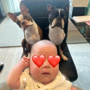 Tanakaga Instagram - 我が家の日常達。