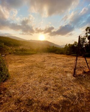 Tembi Locke Instagram - Three years ago this week, we shot these final magical and stunning scenes on location Sicily. ~ Moments I lived, then dreamed, then witnessed recreated in art through the wonder of a colossal communal endeavor. ✨The first slide is of a private moment when possibility was whispered into light, a moment when love was promised into the earth. (Oh, let me always know that the fragile and brave heart is capable of so much.) ❤️ Rewatching it takes my breath away. ❤️Today, I offer gratitude to @zoesaldana and @nzingbling for their INCREDIBLE work and to our whole cast and crew who literally made the impossible possible. (Sicily, thank you too!) ✨ And I give a special send up to anyone who is looking for their own sliver of hope and possibility in the midst of the isolation and darkness of loss or caregiving. It’s there, I promise you, it’s there. ✨✨✨
