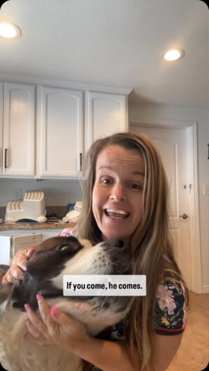 Terra Jolé Instagram - Trying to clean with butters #buttersthesaint #saintbernard #stbernard #dogsofinstagram #doglover #cleanliving #rescuedog