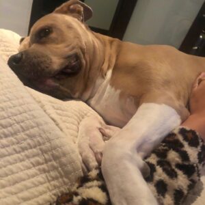 Theresa Marie Mingus Instagram - animals are better than humans. my sweet Nala. crushed 💔  What is there to say to make it any better? Nothing, really. But I will say this: Upon reflection, I think the worst part about it all is that when you love a dog, you love it with the very best version of yourself: the kindest, most patient, most compassionate, most present and joyful, trusting version of who you are and who you ever could be. In theory, the person you are with your dog is the person you wish you could be with everyone, all the time, except the rest of the world is too careless to be trusted with something so precious. And then when you lose the dog, it feels like you’ve also lost that part of yourself that you were able to be, too. But here’s the thing: yes, you had to say goodbye. But it doesn’t mean that you have to say goodbye to who she taught you to be and how she taught you to love. She gave you those qualities in earnest, with her whole life, and you can take those with you as you move forward.

these are the moments where time moves the slowest, when you wish that this too would just hurry up and pass. Try and channel your grief into gratitude bc the amount of grief felt is equal to the amount of love given. And that’s beautiful.