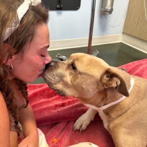 Theresa Marie Mingus Instagram - animals are better than humans. my sweet Nala. crushed 💔  What is there to say to make it any better? Nothing, really. But I will say this: Upon reflection, I think the worst part about it all is that when you love a dog, you love it with the very best version of yourself: the kindest, most patient, most compassionate, most present and joyful, trusting version of who you are and who you ever could be. In theory, the person you are with your dog is the person you wish you could be with everyone, all the time, except the rest of the world is too careless to be trusted with something so precious. And then when you lose the dog, it feels like you’ve also lost that part of yourself that you were able to be, too. But here’s the thing: yes, you had to say goodbye. But it doesn’t mean that you have to say goodbye to who she taught you to be and how she taught you to love. She gave you those qualities in earnest, with her whole life, and you can take those with you as you move forward.

these are the moments where time moves the slowest, when you wish that this too would just hurry up and pass. Try and channel your grief into gratitude bc the amount of grief felt is equal to the amount of love given. And that’s beautiful.
