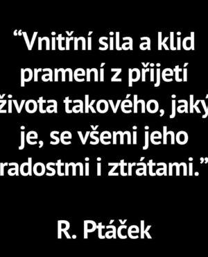 Veronika Kašáková Instagram - Únor 2018, dva roky po založení Nadačního fondu VK už byl Radek našim kamarádem a od té doby byl našim obrovským přínosem.

Jsem absolutně zdrcena odchodem pana profesora Radka Ptáčka. Měl pro mě obrovský význam nejen jako odborník, ale i jako člověk. Naše rozhovory mi vždy dodávaly odvahu a sílu, a jeho podpora mé práce byla neocenitelná. Radek věřil v to, co dělám, a byl velkým fanouškem našich projektů v Nadačním fondu VK . Opakované pozvání na jeho festival dětské psychologie a to, že každý náš průvodce prošel jeho pohovorem, bylo pro mě velkou ctí.

Jeho odchod je nenahraditelnou ztrátou. Jsme všichni v šoku. Zůstane v mých vzpomínkách jako někdo, kdo měl vždy srdce na správném místě a neúnavně pracoval na tom, aby naše projekty vnímala veřejnost pozitivně. Je těžké si představit, že už tu s námi není.

Jeho slova o lásce budou navždy vryté hluboko v mém srdci.

Upřímnou soustrast jeho překrásné rodině 🖤🕊️

Je mi to tak líto, nemohu tomu uvěřit …