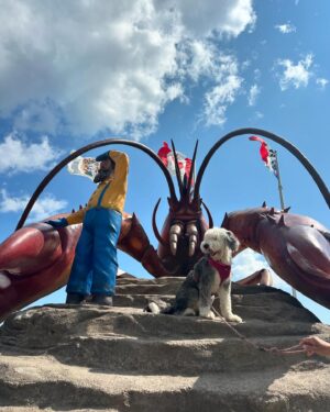 Victoria Charlton Instagram - Ayant vécu au NB quand j’étais toute petite et ayant passé plusieurs étés ici quand j’étais enfant, cette province a toujours eu une place spéciale dans mon cœur 😇
Je rêvais donc d’y amener @boblechef pour lui faire découvrir mes endroits coups de cœur ❤️ je savais qu’il allait tomber en amour avec les Maritimes 🙂 hâte de revenir en famille l’an prochain! 👶🏼
Après un séjour à St.Andrews et à Bouctouche, nous nous dirigeons maintenant à l’Île du Prince-Edouard ✨
PS: ces vacances sont pour nous, bien sûr, mais encore plus pour Nanette🙊 nos dernières vacances à trois ! Et elle est TRÈS gâtée 🫶🏻
Un merci spécial à Gilles, Dominique et Christine, les amis de très longue date à mon papa qui nous ont emmené à la pêche aux palourdes 🚤 on a vraiment pu vivre l’expérience acadienne à fond 🥳