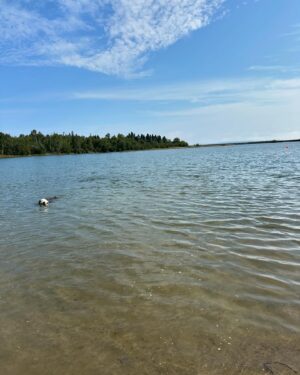Victoria Charlton Instagram - Ayant vécu au NB quand j’étais toute petite et ayant passé plusieurs étés ici quand j’étais enfant, cette province a toujours eu une place spéciale dans mon cœur 😇
Je rêvais donc d’y amener @boblechef pour lui faire découvrir mes endroits coups de cœur ❤️ je savais qu’il allait tomber en amour avec les Maritimes 🙂 hâte de revenir en famille l’an prochain! 👶🏼
Après un séjour à St.Andrews et à Bouctouche, nous nous dirigeons maintenant à l’Île du Prince-Edouard ✨
PS: ces vacances sont pour nous, bien sûr, mais encore plus pour Nanette🙊 nos dernières vacances à trois ! Et elle est TRÈS gâtée 🫶🏻
Un merci spécial à Gilles, Dominique et Christine, les amis de très longue date à mon papa qui nous ont emmené à la pêche aux palourdes 🚤 on a vraiment pu vivre l’expérience acadienne à fond 🥳