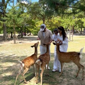 Vinny Arora Instagram - Oh De-er , what a place 🦌🦌🦌