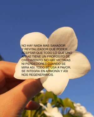 Virginia Da Cunha Instagram - USAR TODO A FAVOR 

INTEGRAR Y DAR NUEVO SENTIDO

AGRADECER 

REGENERAR 

FLORECER