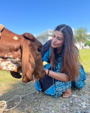 Vivana Singh Instagram - Wish everyone a very blessed KRISHNA JANAM ASTAMI 🦚🦚💙🦚🦚🙏🏻! 
My mother loved cows . She was a daughter of a farmer ❤️. Coz of her earthy connectivity n humble nature the sanskar got initiated in me n my brother 🙏🏻🦚. Shared some pics of my love for cows. There is one very special pic of Ma kamdhenu ( cow’s name ) I was fortunate to meet her at Babaji’s ashram . She was so calm n loving that I could touch her n keep my head over her’s . Now she has gone to heaven n giving company to my ma ❤️🦚❤️🙏🏻. ( I m sure they both are happy and at peace ) . Most painful experience of my life to not have ma besides me but I will always celebrate my mother till I live 🧿🙏🏻🦚🙏🏻