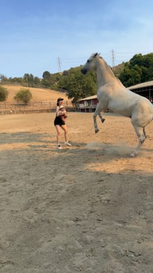 Whitney Cummings Instagram - He’s a cowboy, baby
