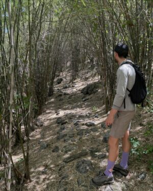 Yarinda Bunnag Instagram - Absolutely beautiful trail at Khao Nang Panthurat Forest Park!!!