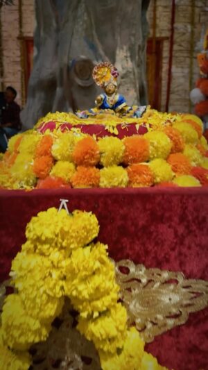 Zalak Desai Instagram - Aap sabhi ko Janmashtami ki dher saari shubhkaamnaayein😊🙏🏼
VC : @beatking_sumedh @madanbashyal 

#JaiShreeKrishna#Janmashtami#RKFam#OldisGold#Grateful#Blessed